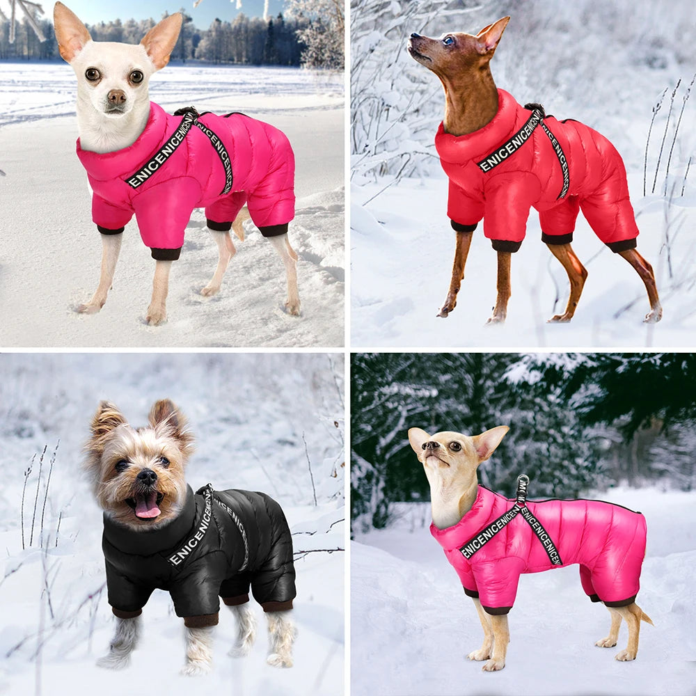 Vinteroverall för liten hund