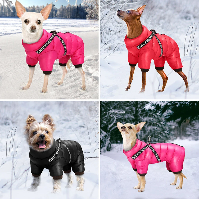 Vinteroverall för liten hund