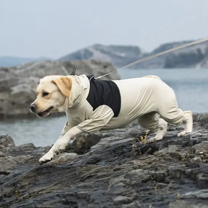 Vattentät overall för hund