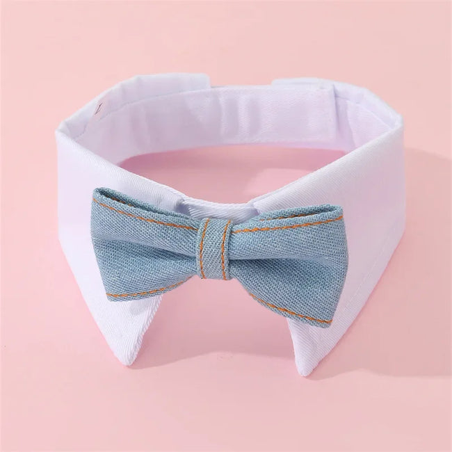 Fluga på krage för hund