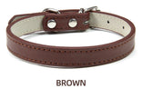 Hundhalsband