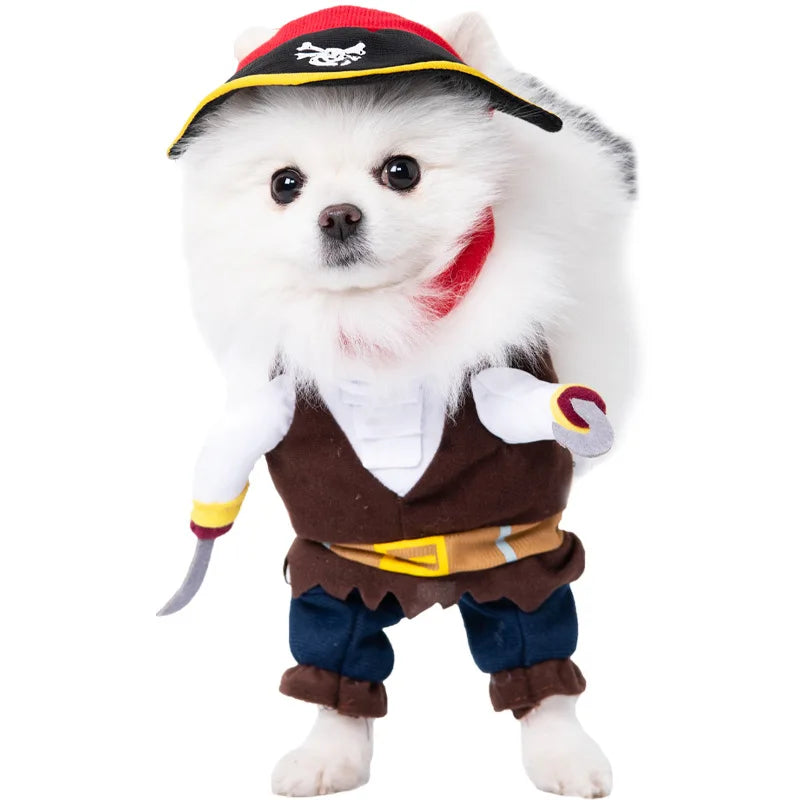 Halloween kostym för hund