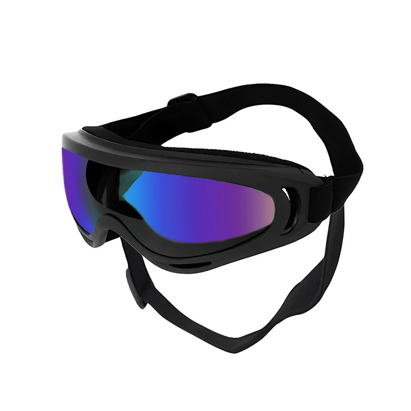 Goggles för hund