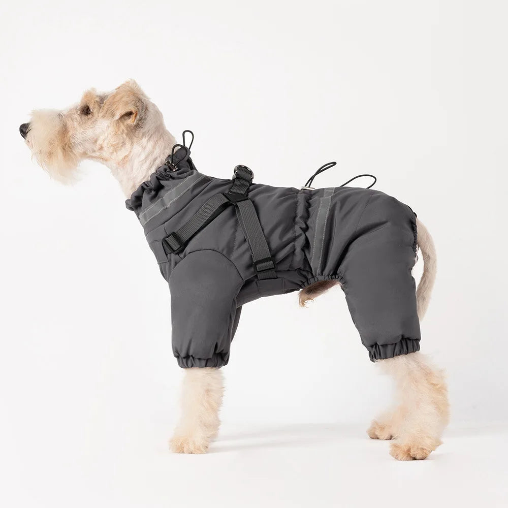 Overall med sele för hund