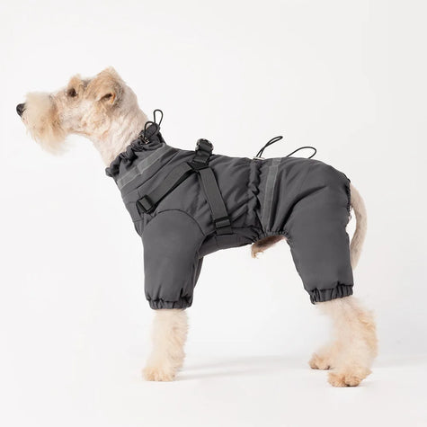 Overall med sele för hund