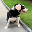 Hörselskydd för hund