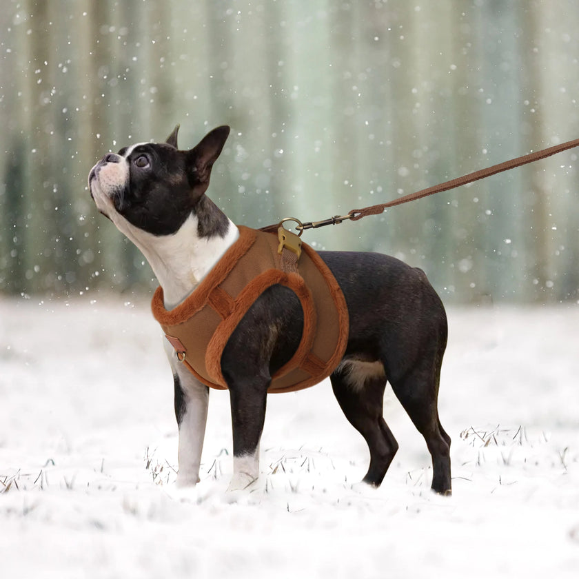 Pälsklädd sele för hund