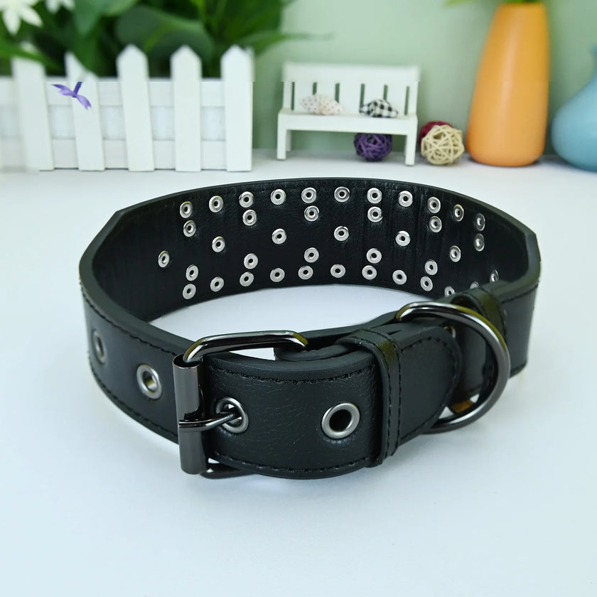 Hundhalsband med nitar
