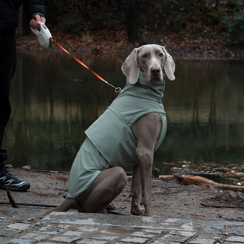 Vattentät hundjacka