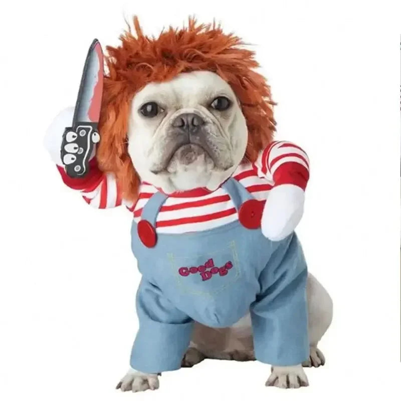Halloween kostym för hund