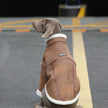 Varmfodrad hundjacka