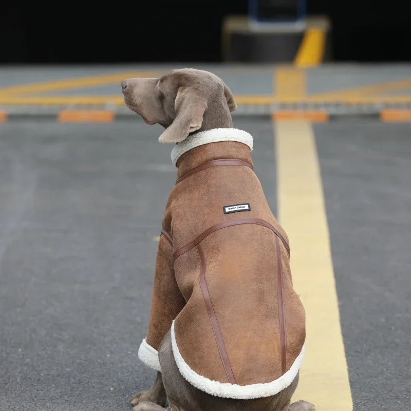 Varmfodrad hundjacka