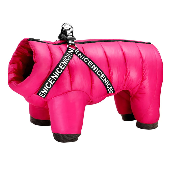 Vinteroverall för liten hund