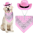 Cowboy kostym hatt & scarf för hund