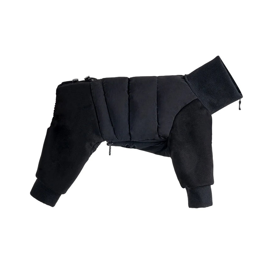 Tracksuit onesie för hund