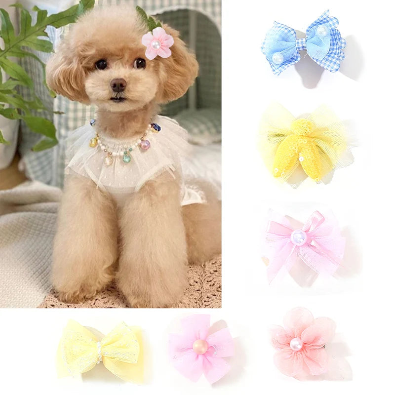 Rosetter 4st för hund