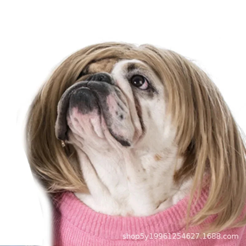 Peruk för hund