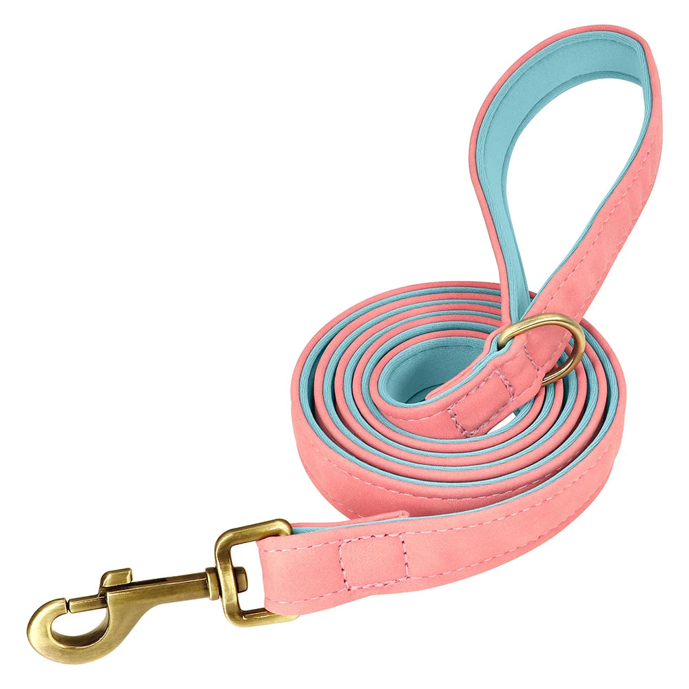 Hundhalsband & koppel