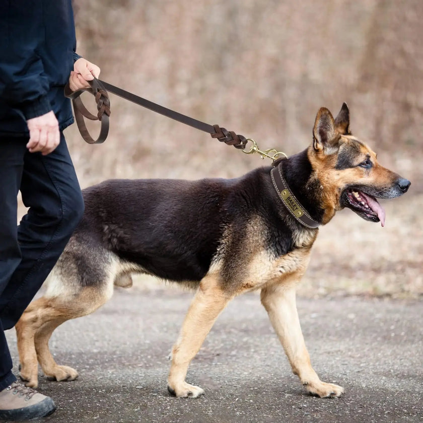 Flätat hundkoppel i läder