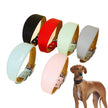 Brett hundhalsband