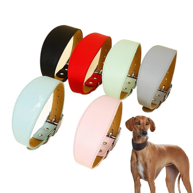 Brett hundhalsband
