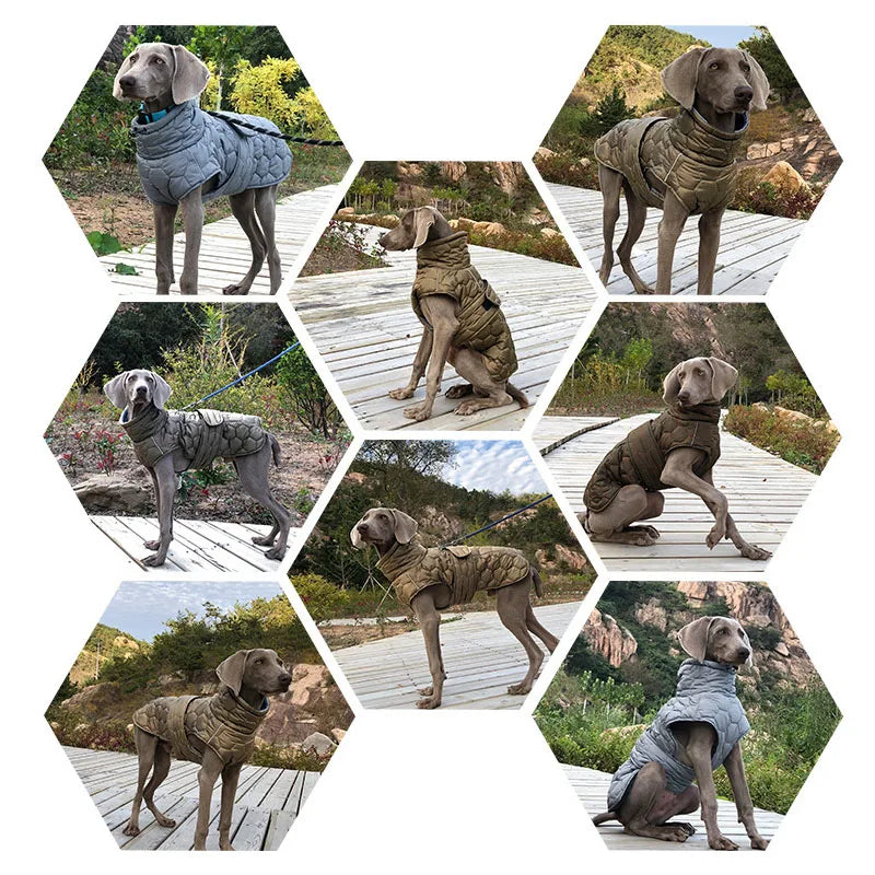 Täckjacka för hund