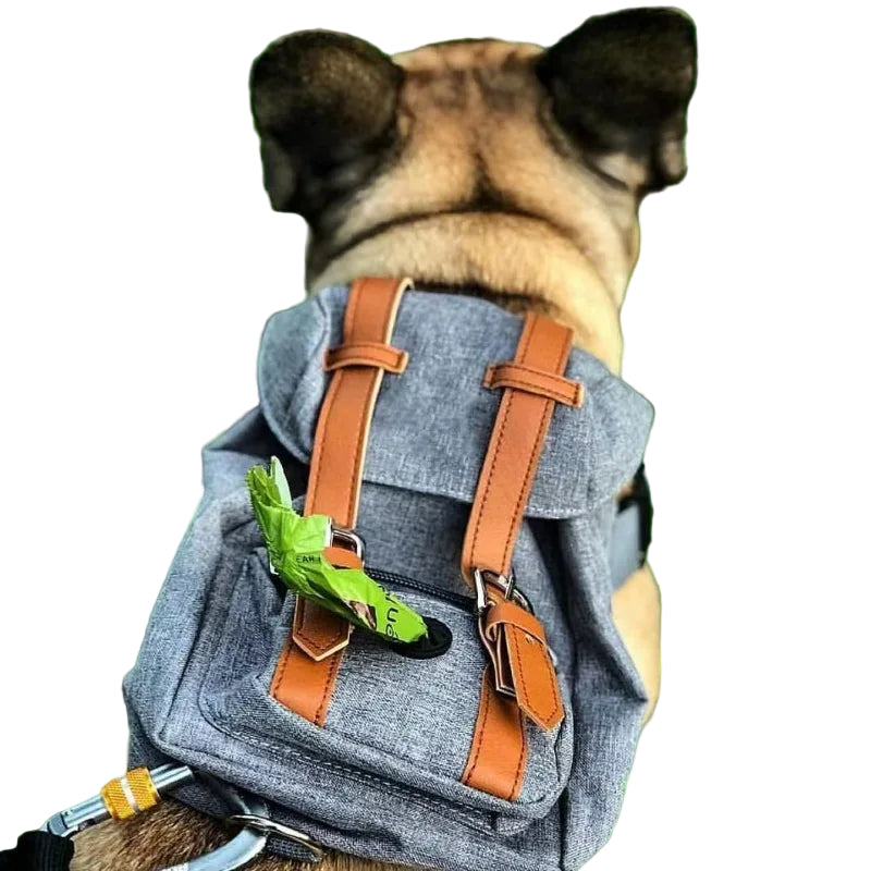 Ryggsäck för hund