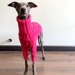 Polotröja för hund