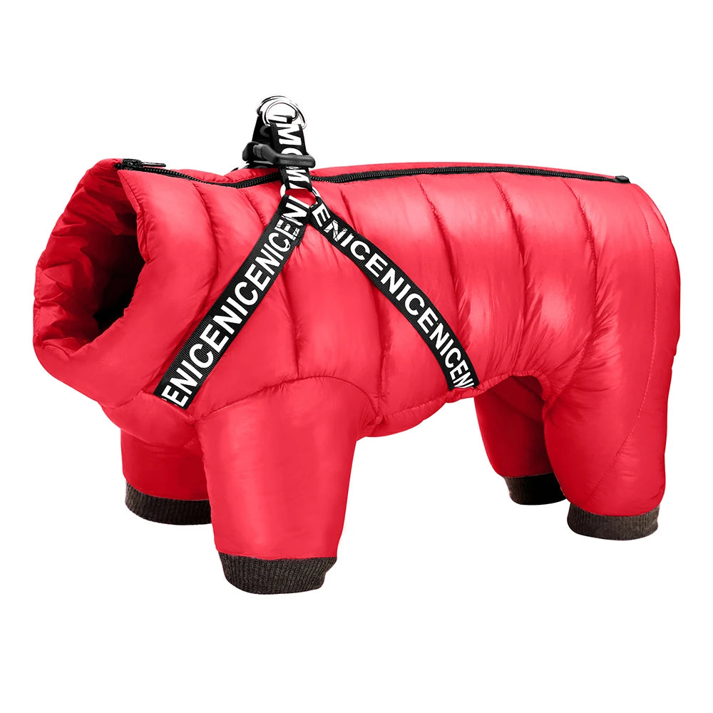 Vinteroverall för liten hund