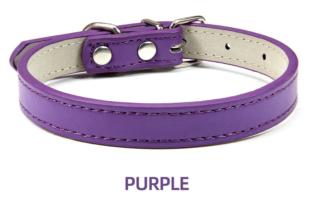 Hundhalsband