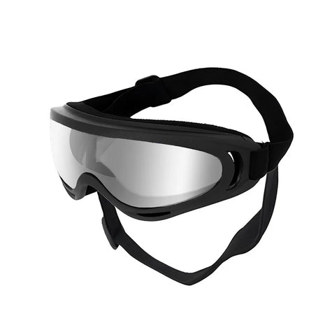 Goggles för hund