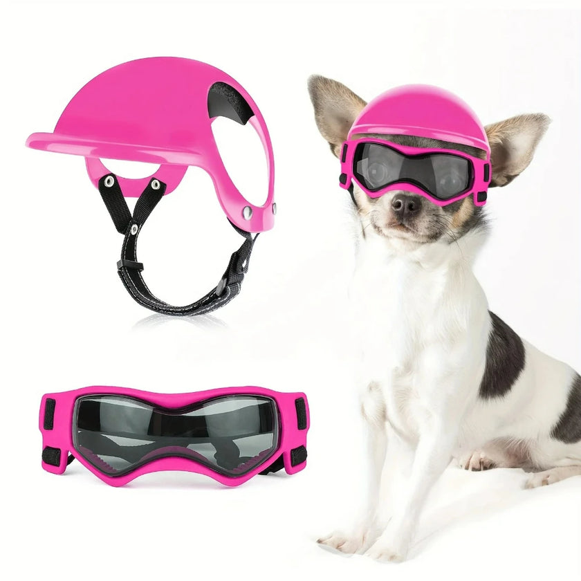 Set med hjälm och goggles för hund