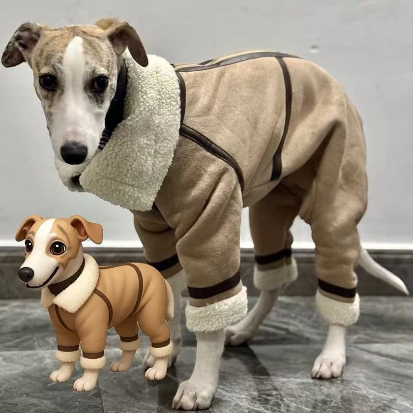 Vinterjacka för hund