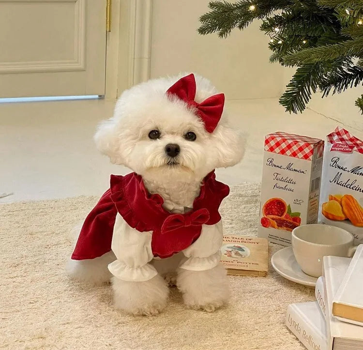Julklänning för hund
