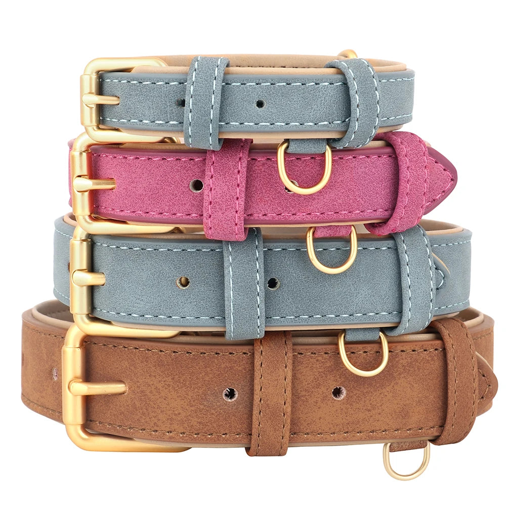 Hundhalsband