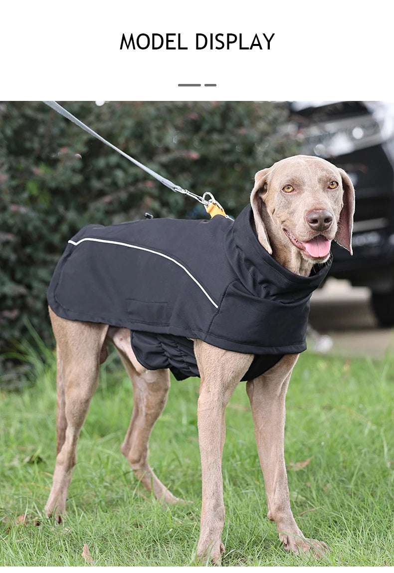 Vattentät hundjacka