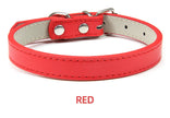 Hundhalsband