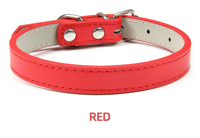 Hundhalsband