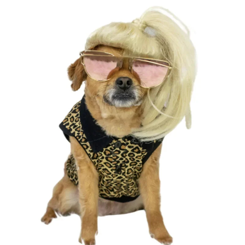 Peruk för hund