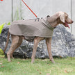 Vattentät hundjacka