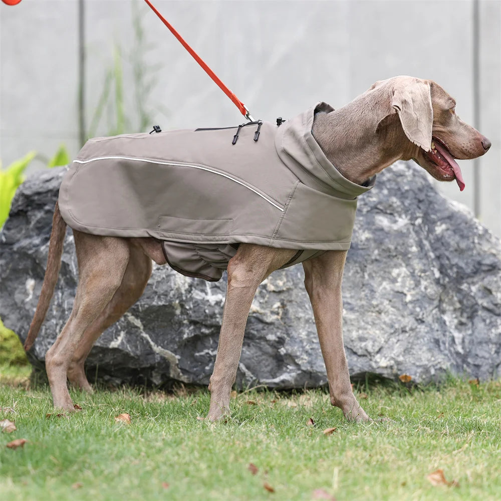 Vattentät hundjacka