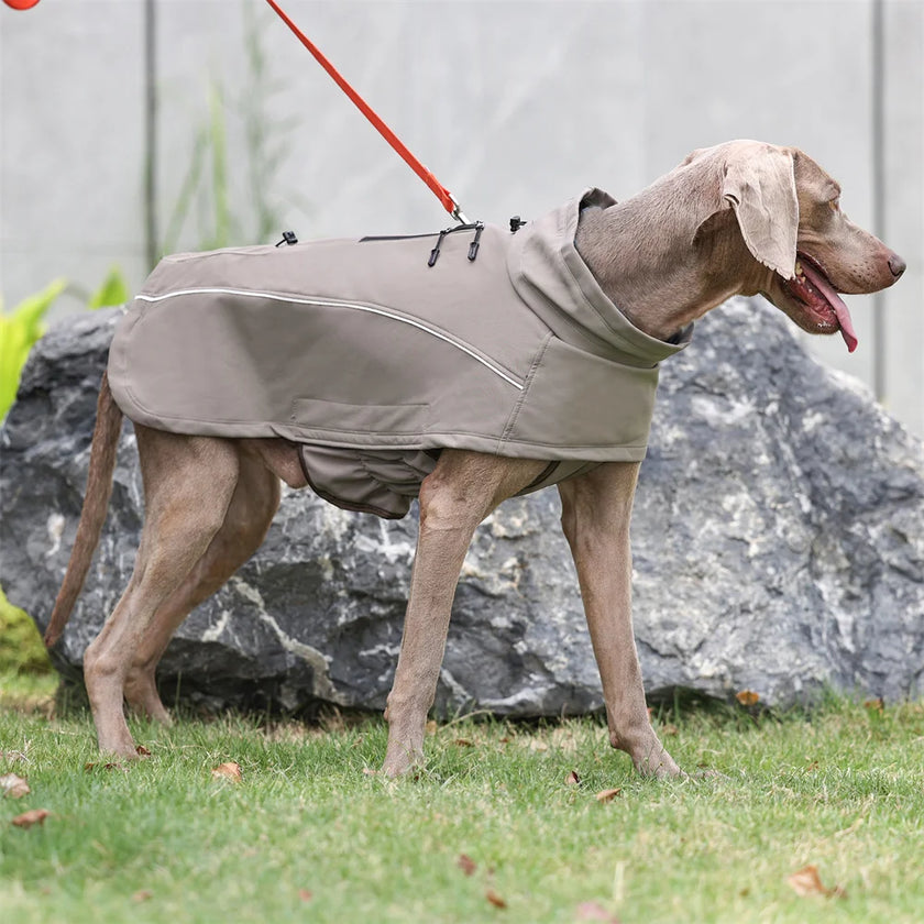 Vattentät hundjacka