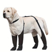 Regnskydd | Överdragsbyxor | Skor för hund