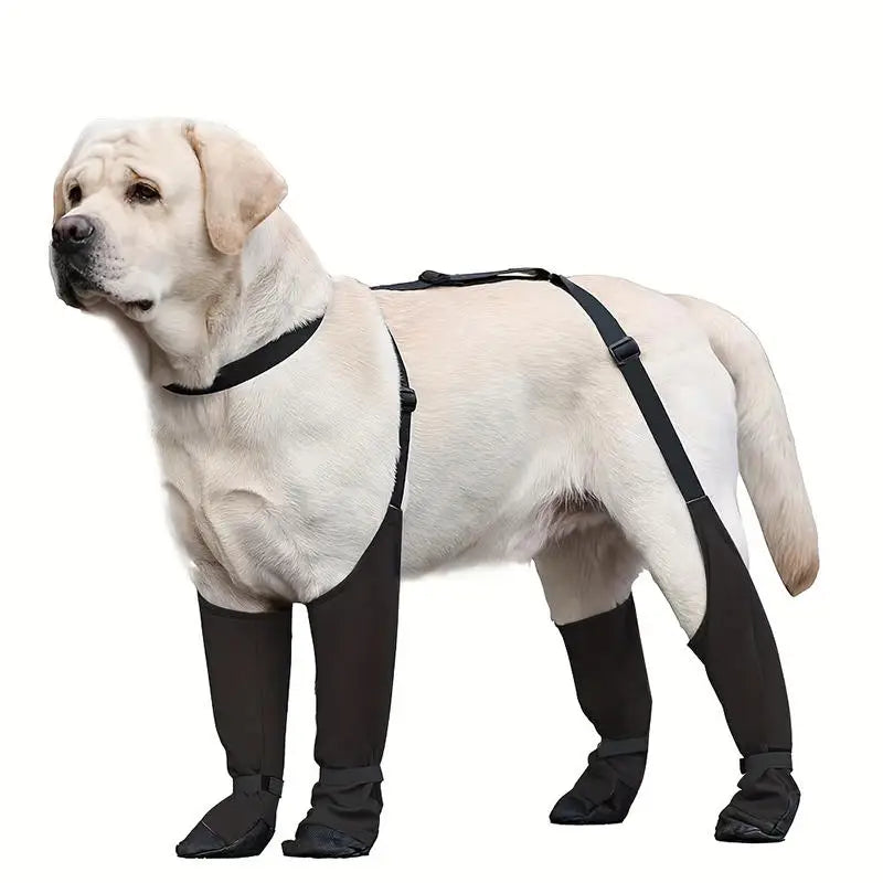 Regnskydd | Överdragsbyxor | Skor för hund