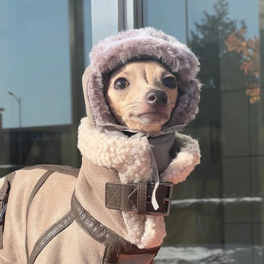 Vinterjacka för hund