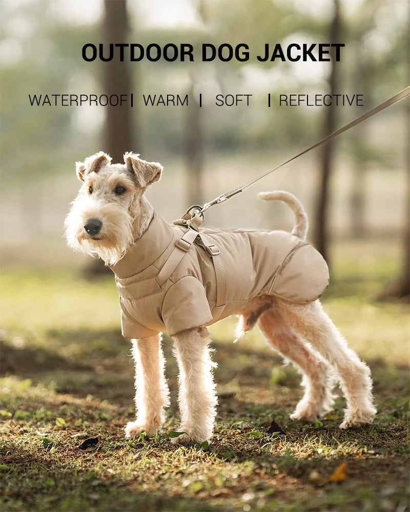 Vinterjacka med sele för hund