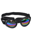Goggles för hund