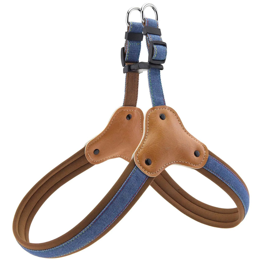 Hundsele i jeanstyg & koppel