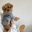 Hoodie Sweatshirt med huva för hund