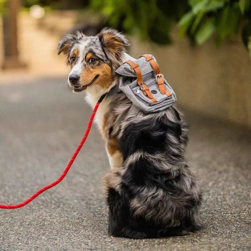 Ryggsäck för hund